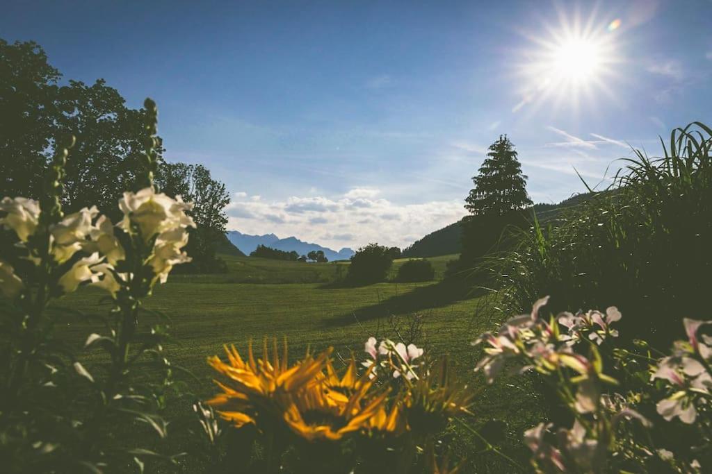 Fritzis Alpenidyll „Sommertraum & Winterromantik” Samerberg Buitenkant foto