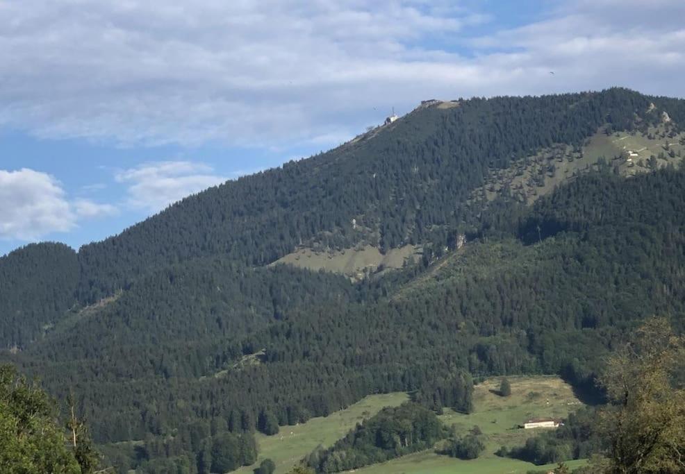 Fritzis Alpenidyll „Sommertraum & Winterromantik” Samerberg Buitenkant foto