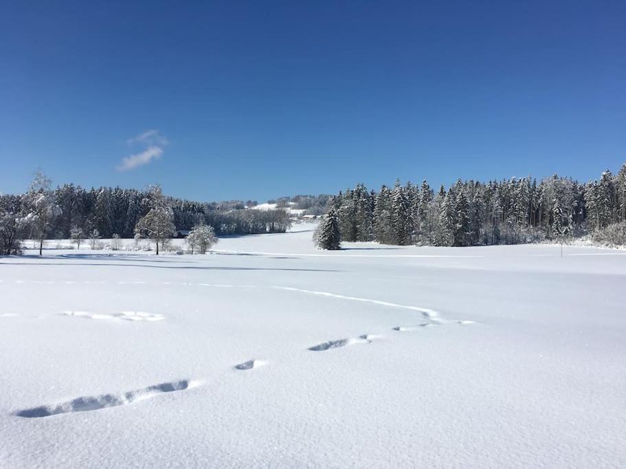 Fritzis Alpenidyll „Sommertraum & Winterromantik” Samerberg Buitenkant foto